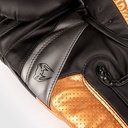 GANTS DE BOXE VENUM ELITE EVO - NOIR/BRONZE