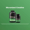 Optimum Nutrition Micronised Creatine Powder   60 Servings of 5Gr