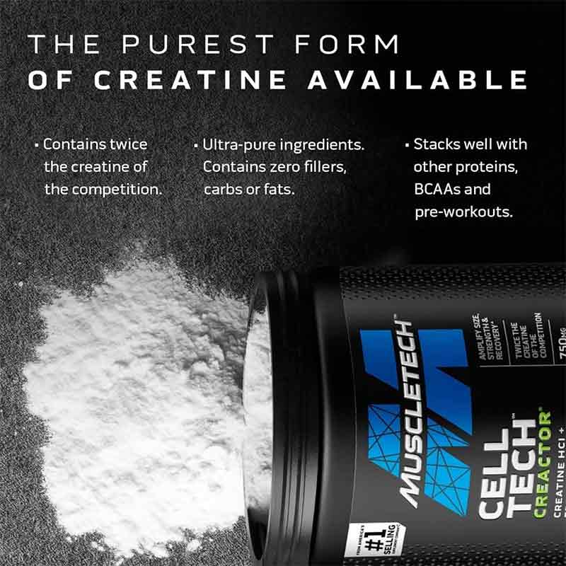 MUSCLETECH PLATINUM 100% CREATINE 400GR