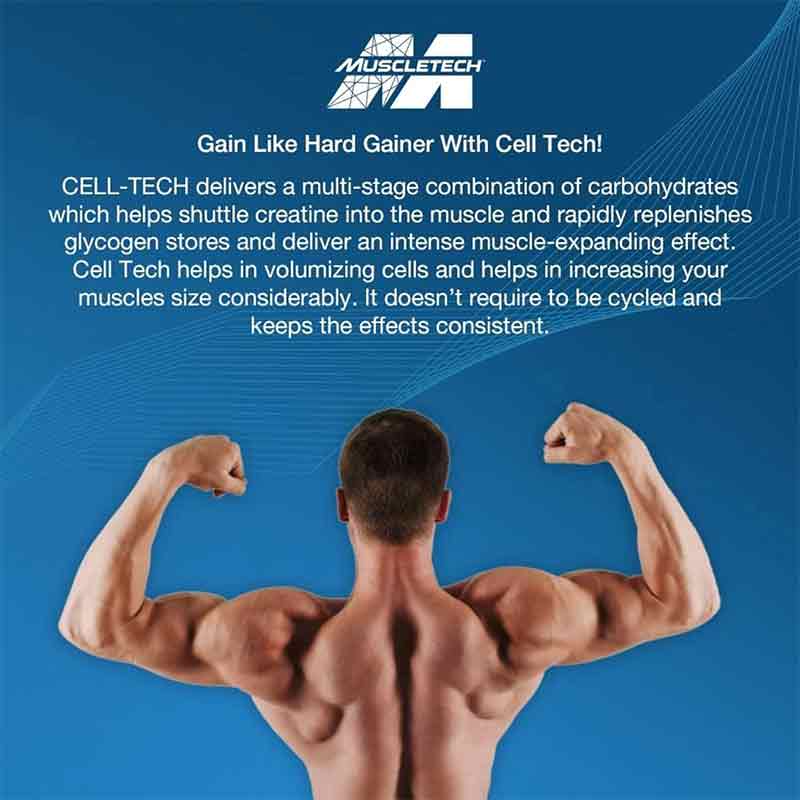 MUSCLETECH CELLTECH CREACTOR CREATINE HCL POST WORKOUT 240GR